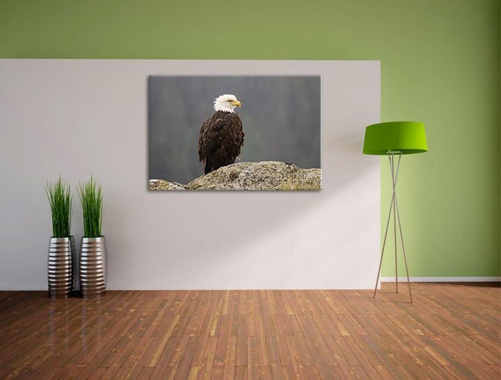 wachsamer Adler auf Fels Leinwand, XXL riesige Bilder fertig gerahmt mit Keilrahmen, Kunstdruck auf