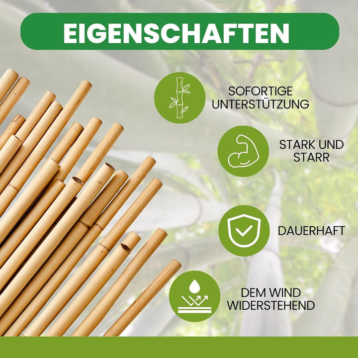 PLANTAWA Bambusstäbe 90 cm Packung mit 25 Stück Ø 10-12 mm | Pflanzstab Bambusstab Gemüse, Tomaten u