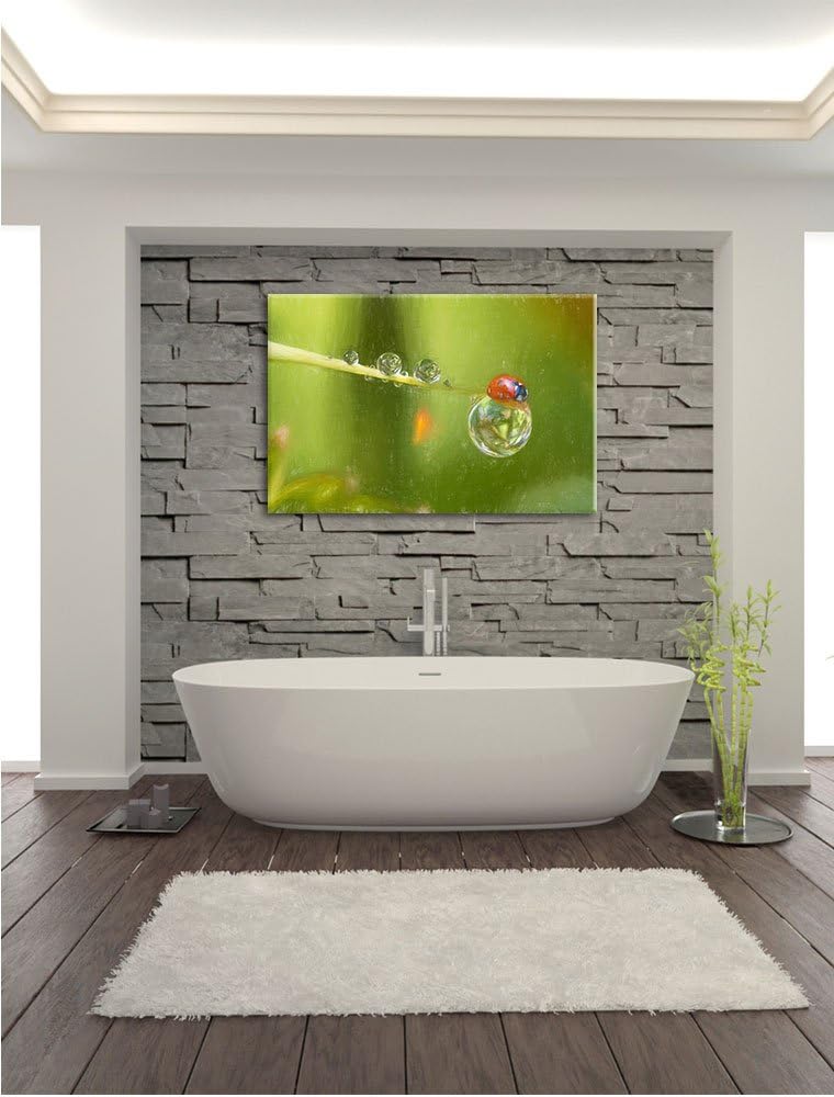 Pixxprint Marienkäfer als Leinwandbild/Grösse: 100x70 / Wandbild/Kunstdruck/fertig bespannt, 100x70