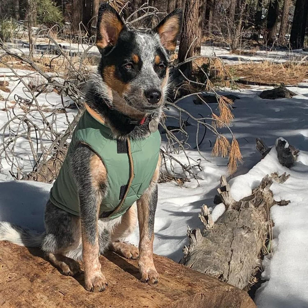Gooby - Sportweste, Fleece gefütterte kleine Hunde Kaltwetterjacke Mantel Pullover mit reflektierend