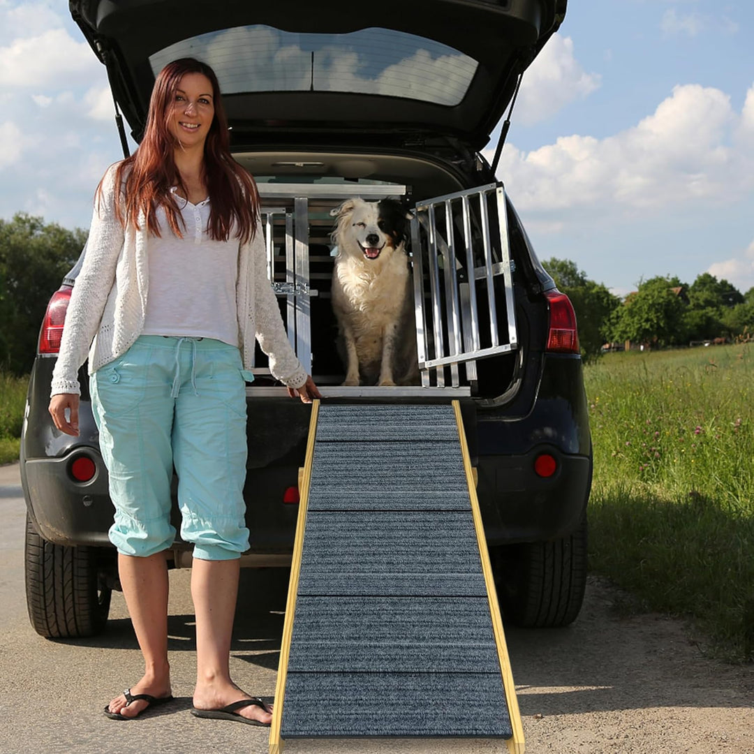 2 in 1 Hundetreppe Hunderampe Auto Klappbar für Kleine Hunde und Katzen, Tragbare Hundeleiter Hausti
