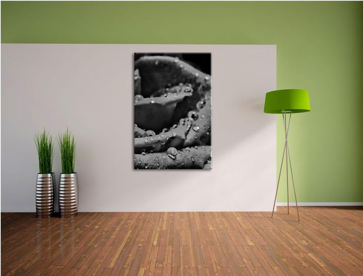 Pixxprint Tropfen auf roter Rose als Leinwandbild/Grösse: 100x70 cm/Wandbild/Kunstdruck/fertig bespa