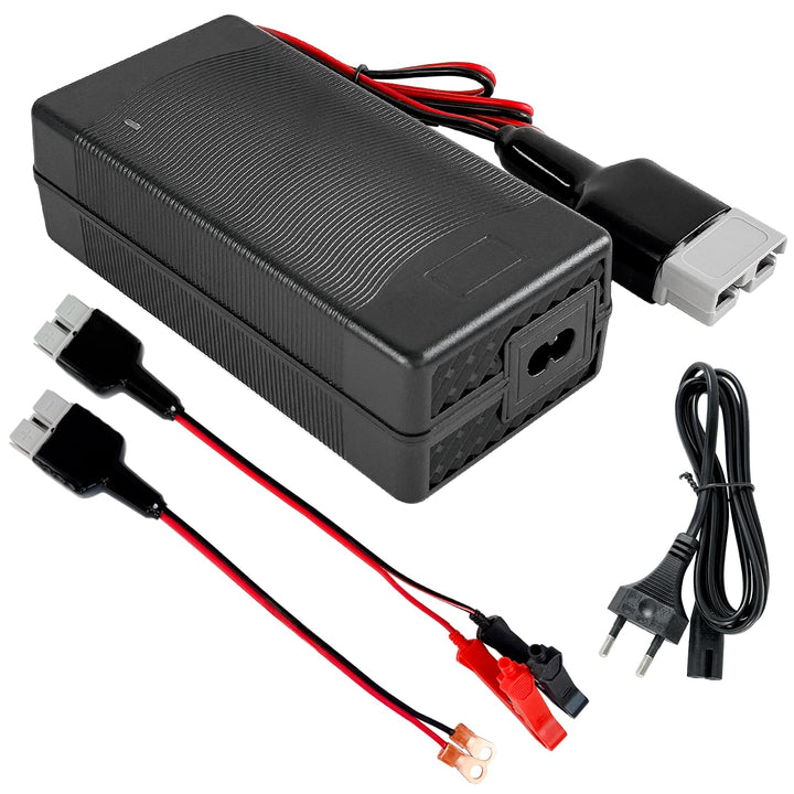 YASCO 12V Lifepo4 Battery Charger, Lithium Eisen Phosphat Batterie Ladegerät14.6V Charger (10A Charg