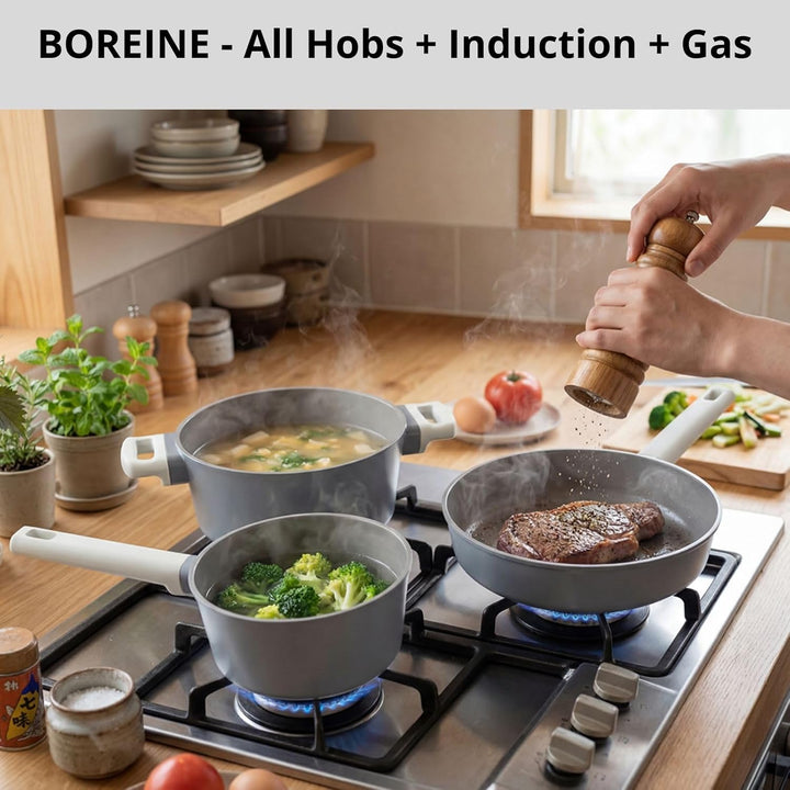 BOREINE Topfset Pfannenset 5-teilig, Bratpfanne 24cm Kochtöpfe 24cm Topf 18cm mit Deckel 18/24cm, An