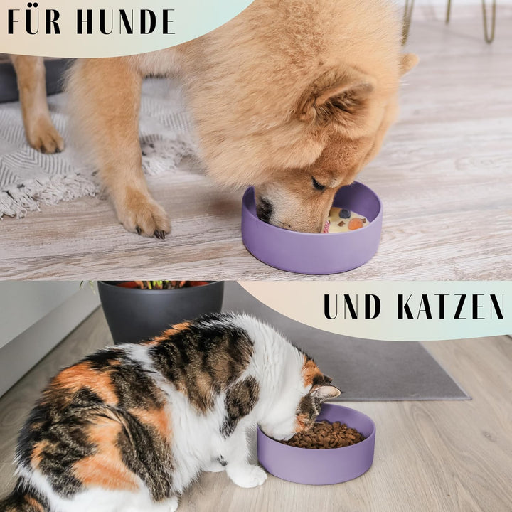 ne&amp;no® Silikon Fressnapf 1200 ml für kleine und mittelgrosse Hunde | Futternapf Hund rutschfest | Hu
