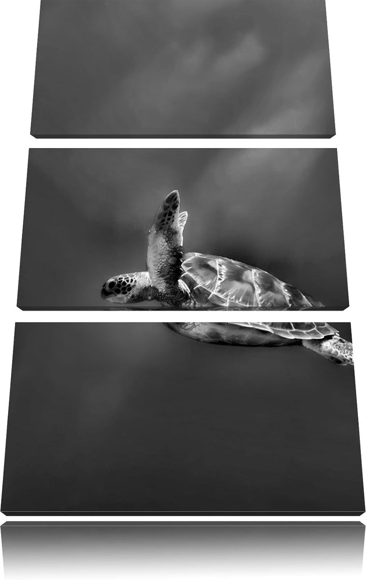 Pixxprint Monocrome, Schildkröte im Meer 3-Teiler Leinwandbild 120x80 Bild auf Leinwand