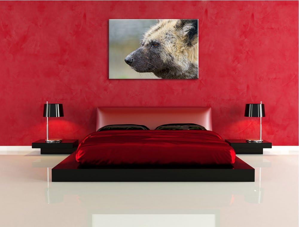 Pixxprint Hyäne im Seitenprofil auf Leinwand, XXL riesige Bilder fertig gerahmt mit Keilrahmen, Kuns
