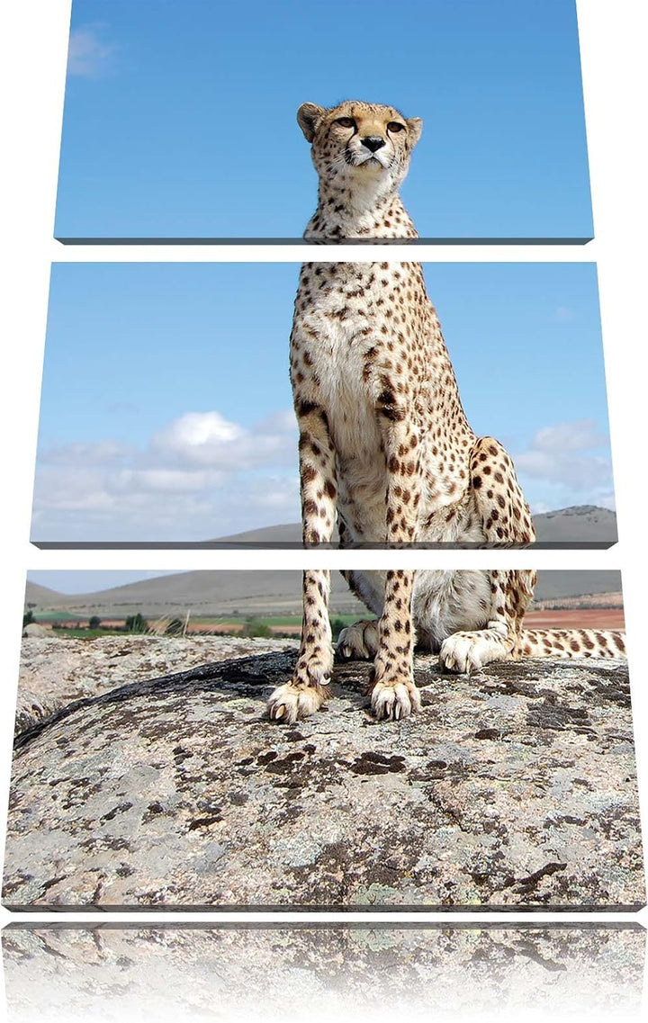 Pixxprint Wachsamer Gepard als Leinwandbild/Grösse: 3 Teilig (120x80) cm/Wandbild/Kunstdruck/fertig
