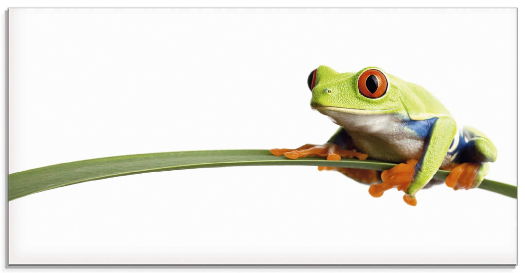 ARTland Glasbilder Wandbild Glas Bild einteilig 60x30 cm Querformat Natur Tiere Frosch Laubfrosch Bl