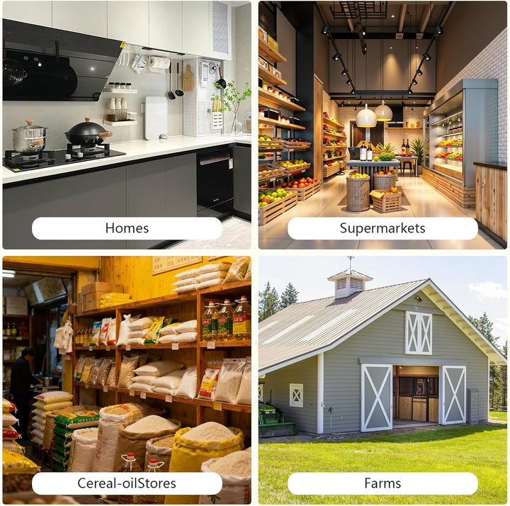 Ölpresse Elektrische Ölpresse aus Edelstahl 304, 150W Vollkupfermotor für Kalt & Heisspressung, 6-13