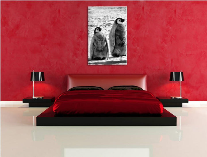 Pixxprint Monocrome, Vier Kaiserpinguin-Küken, Format: 100x70 auf Leinwand, riesige Bilder fertig ge
