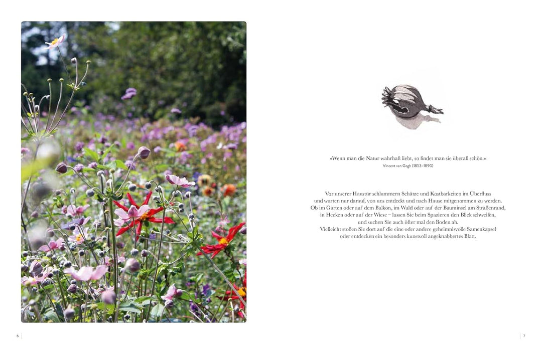 Blumenregen und Blättertanz: Filigran und verspielt - Schmuck, Raumobjekte und Papierkunst mit Natur