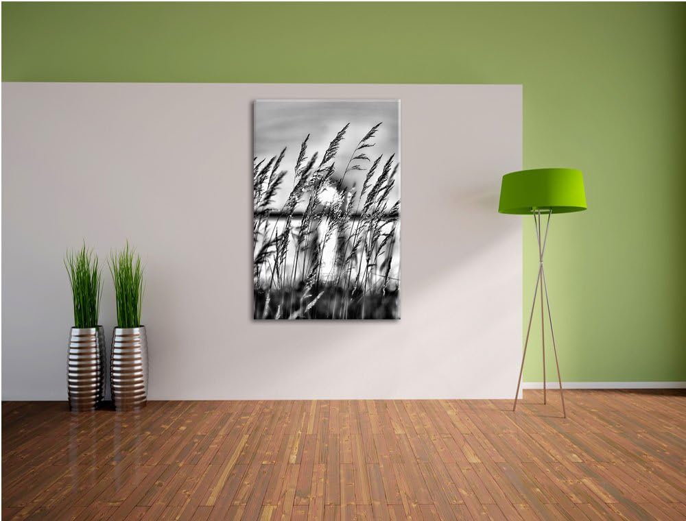 Pixxprint Sonne zwischen Gräsern / 100x70cm Leinwandbild bespannt auf Holzrahmen/Wandbild Kunstdruck