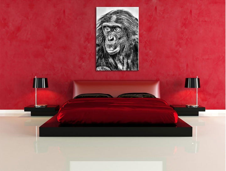Pixxprint scheuer junger Gorilla als Leinwandbild/Grösse: 100x70 cm/Wandbild/Kunstdruck/fertig bespa