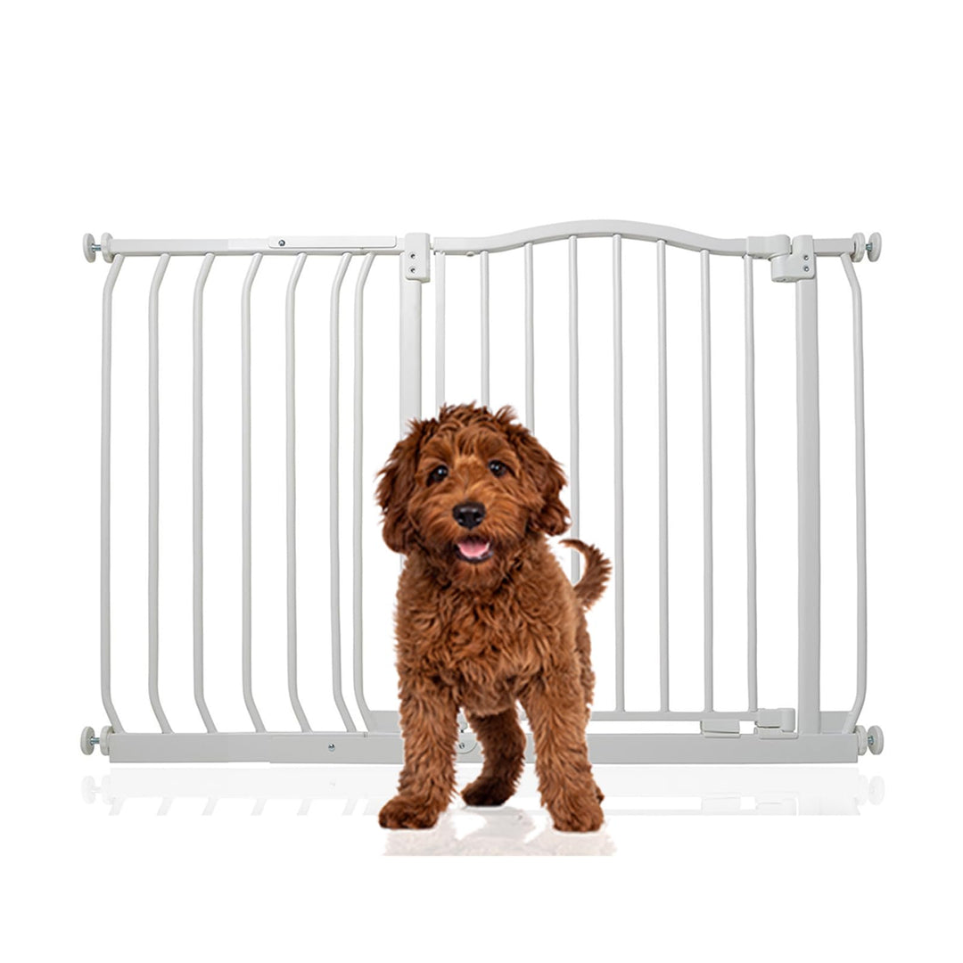 Bettacare Gebogenes Hundetor, 107cm - 116cm, Mattweiss, Druckmontage Haustiertor für Hunde und Welpe