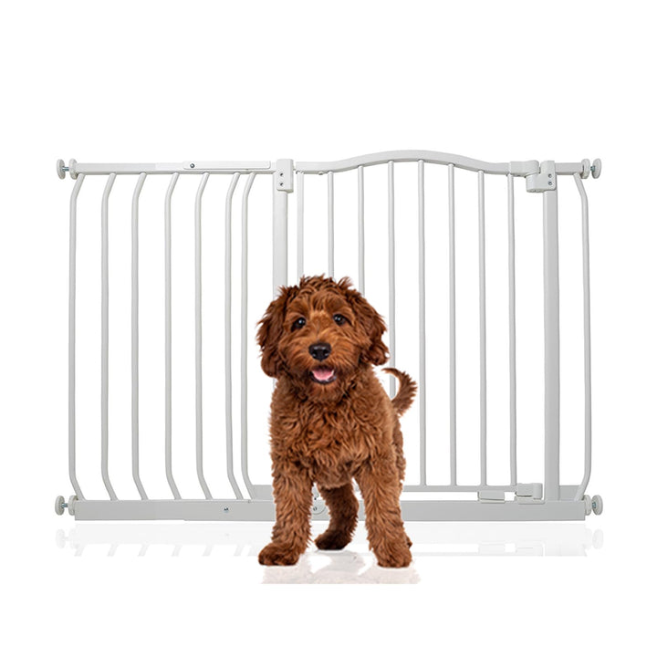 Bettacare Gebogenes Hundetor, 107cm - 116cm, Mattweiss, Druckmontage Haustiertor für Hunde und Welpe