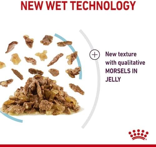 Royal Canin Sensory Feel Jelly | Doppelpack | 2 x 12 x 85 g | Nassfutter für ausgewachsene Katzen |