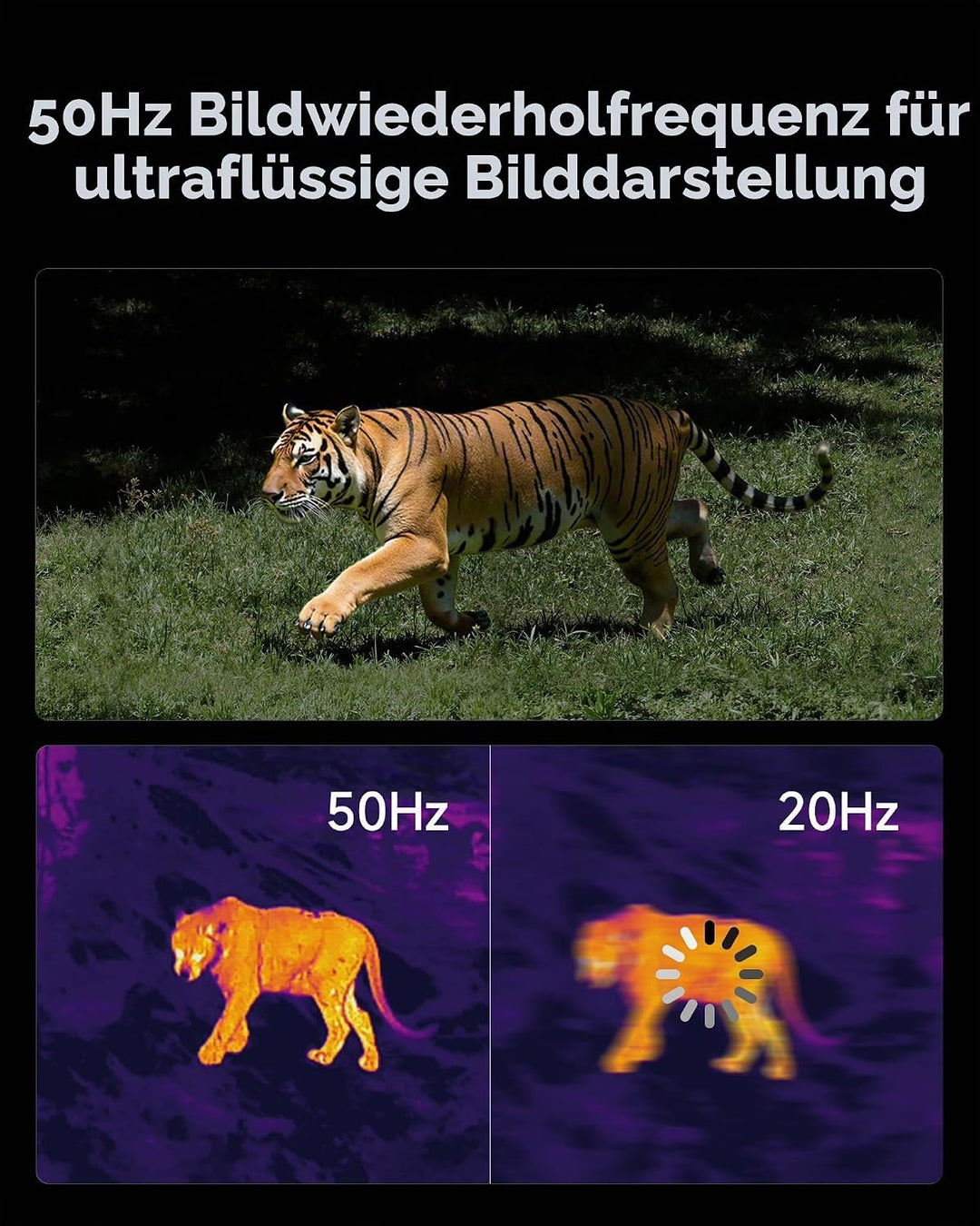 TOPDON wärmebildkamera Jagd TS004 Pro, 384 x 288 IR-Auflösung, 19mm Objektiv Wärmebild-Monokular, 50