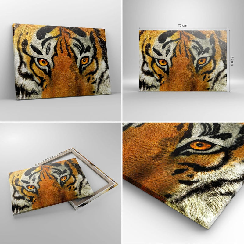 Bilder auf Leinwand Tiger Tiere Natur Safari Leinwandbild 70x50cm Wandbilder Dekoration Wohnzimmer S