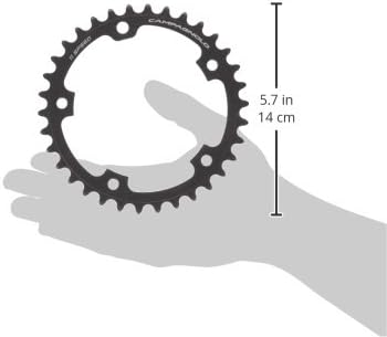 Campagnolo Super Record Kettenrad 45x45x30cm silber, 45x45x30cm silber