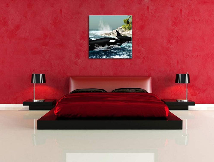 Pixxprint Orcas vor Insel, Format: 70x70 auf Leinwand, XXL riesige Bilder fertig gerahmt mit Keilrah