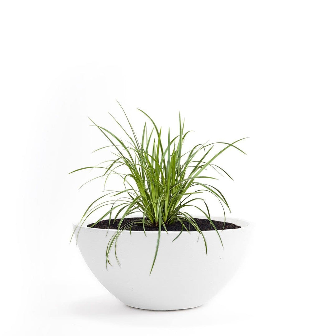 Pflanzwerk® Pflanzkübel Pflanzschale Bowl Ø 45cm Weiss *Frostbeständige Blumenschale* *Deutsche Prem