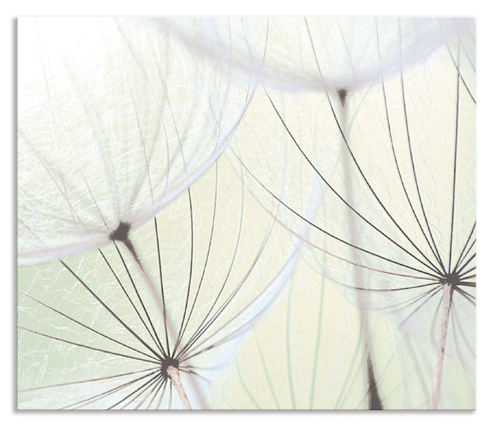 ARTland Spritzschutz Küche aus Alu für Herd Spüle 70x60 cm (BxH) Küchenrückwand mit Motiv Blume Pust