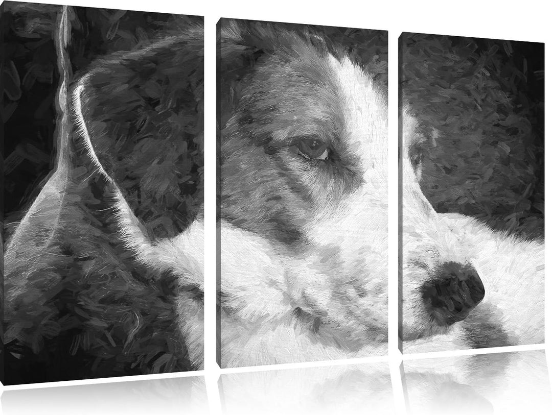 Jack Russel Terrier ruht sich aus NewArt 3-Teiler Leinwandbild 120x80 Bild auf Leinwand, XXL riesige