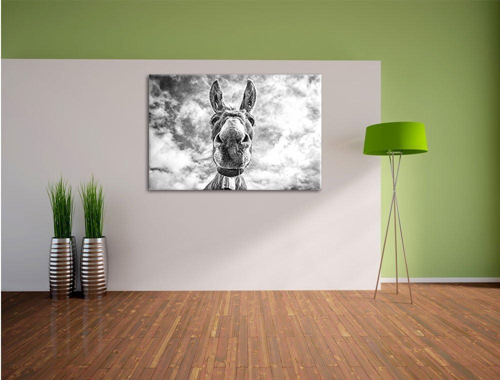 Lustiger Esel Kunst B&W, Format: 100x70 auf Leinwand, XXL riesige Bilder fertig gerahmt mit Keilrahm
