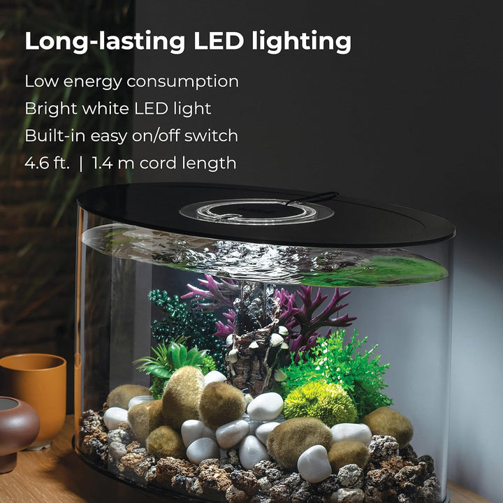 biOrb LOOP 15 LED Aquarium, 15 Liter - Aquarien Komplett-Set mit patentiertem Filter-System, Acryl-B