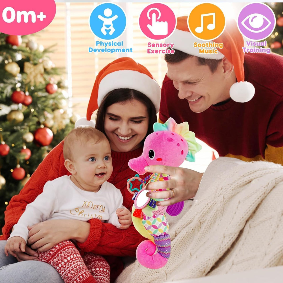 Baby Spielzeug 0 3 6 9 12 Monate Musikspielzeug, Montessori Sensorik Spielzeug Baby Geschenk Mädchen