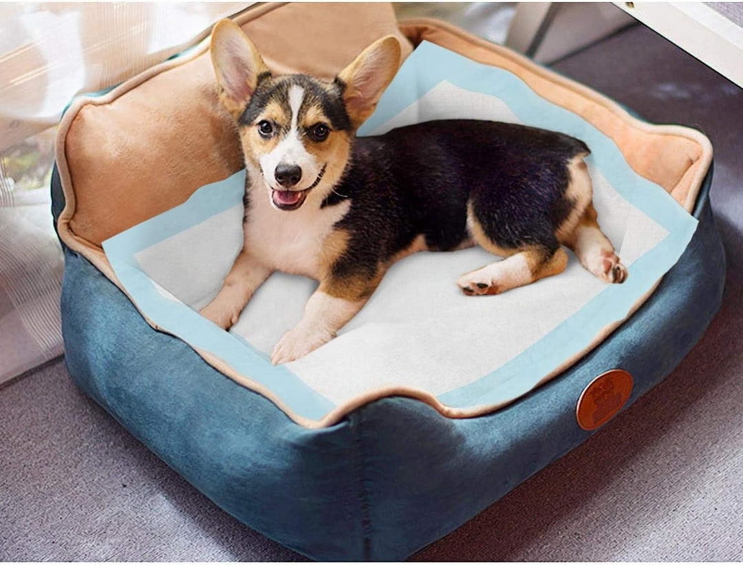 Nobleza -120 x Ultra saugfähige Hunde Trainingsunterlagen Welpenunterlage Welpen Toilettenmatte, 60