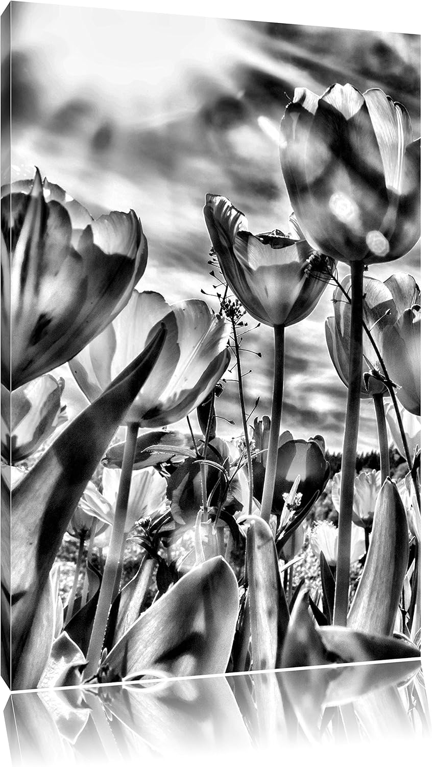 Pixxprint Blumenwiese / 100x70cm Leinwandbild bespannt auf Holzrahmen/Wandbild Kunstdruck Dekoration