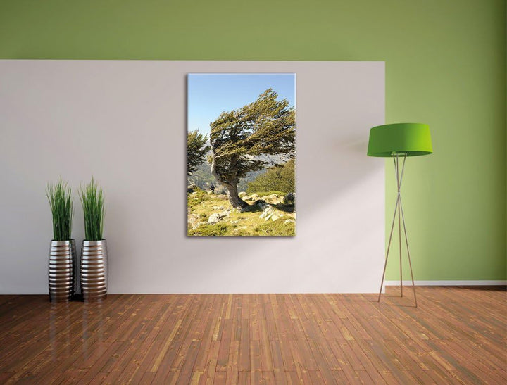 Pixxprint Schiefer Baum, Format: 100x70 auf Leinwand, XXL riesige Bilder fertig gerahmt mit Keilrahm