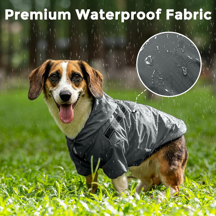 JoyDaog Premium-Regenmantel Mit Kapuze für Mittelgrosse Hunde, Outdoor-Sport, Wasserdichte Regenjack