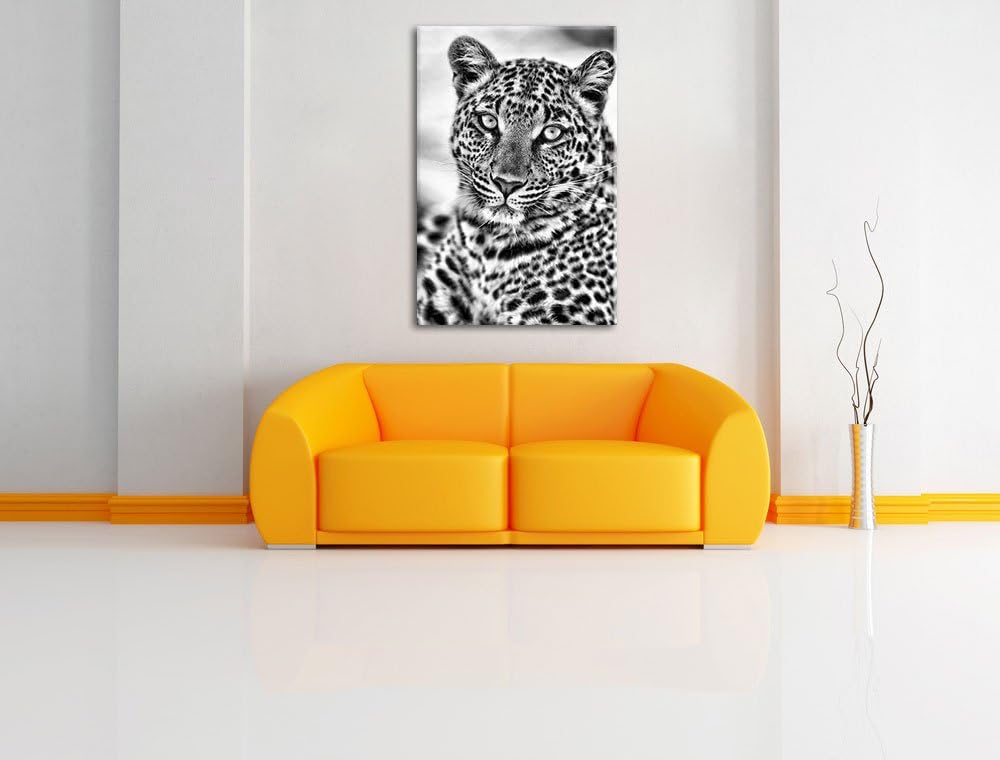 Pixxprint schöner Leopard als Leinwandbild/Grösse: 100x70 / Wandbild/Kunstdruck/fertig bespannt, 100