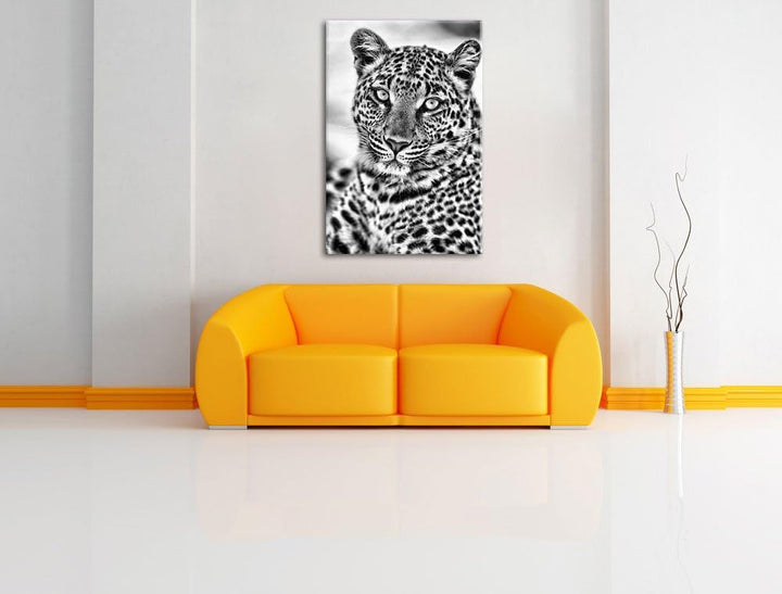 Pixxprint schöner Leopard als Leinwandbild/Grösse: 100x70 / Wandbild/Kunstdruck/fertig bespannt, 100