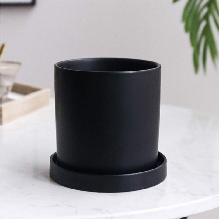 HEMOTON Keramik Sukkulenten Töpfe mit Drainage Runde Pflanzgefässe mit Untertasse Garten Mini Kaktus