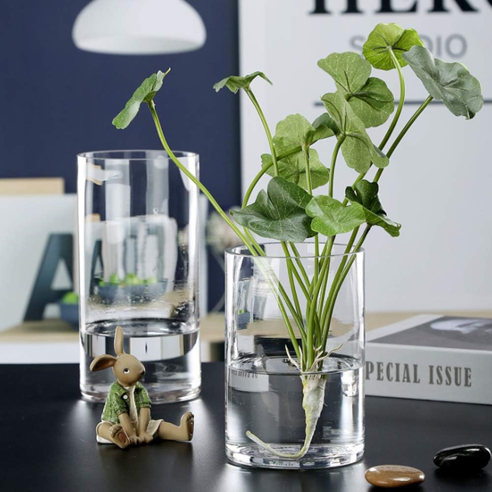 WGV Zylindervase, 7,6 cm B x 20,3 cm H, klare Knospe, schmaler Kerzenhalter, Pflanzgefäss, Terrarium