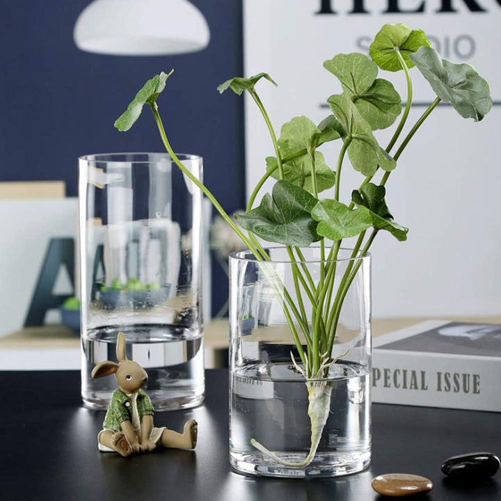 WGV Zylindervase, 7,6 cm B x 20,3 cm H, klare Knospe, schmaler Kerzenhalter, Pflanzgefäss, Terrarium