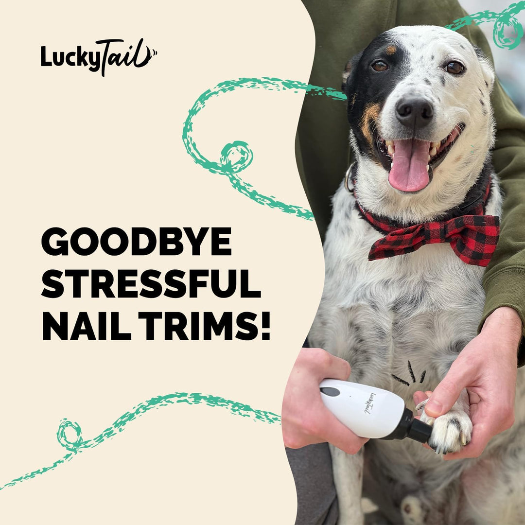 LuckyTail HundeNagelschleifer – kleine und grosse Hunde – flüsterleiser Betrieb (30–50 dB) – leistun