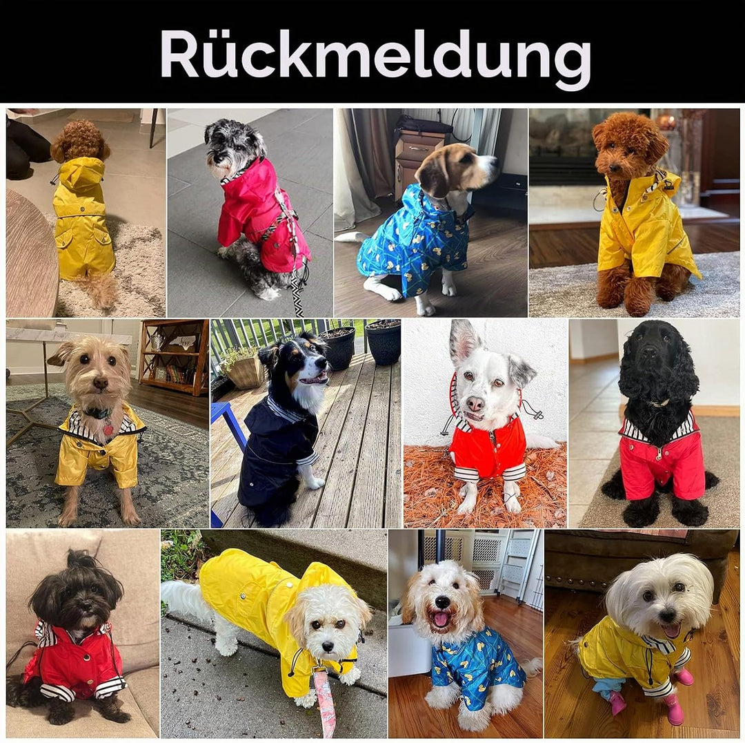 MOREZI Hunderegenmantel, mit Reissverschluss und reflektierenden Knöpfen, Regen-/wasserdicht, Verste