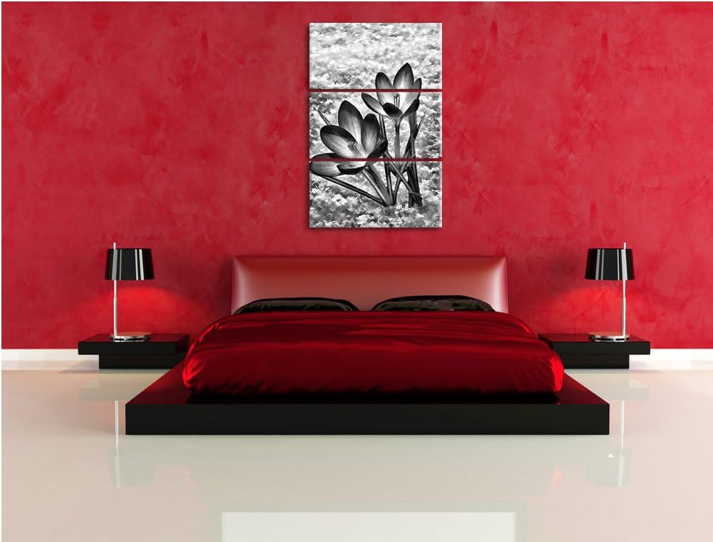 Pixxprint Monocrome, Lila Krokusse im Schnee 3-Teiler Leinwandbild 120x80 Bild auf Leinwand