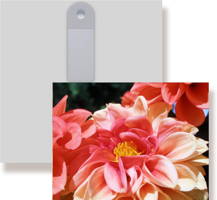WunschPIXEL – Wandbild Blumen auf weissem Acrylglas, Set 4-teilig je 20x20 cm, quadratisch, Sommerbl