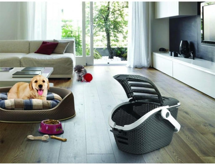 Curver Transportbox L: 51 cm B: 38 cm H: 33 cm anthrazit anthrazit 1 Stück (1er Pack), anthrazit 1 S