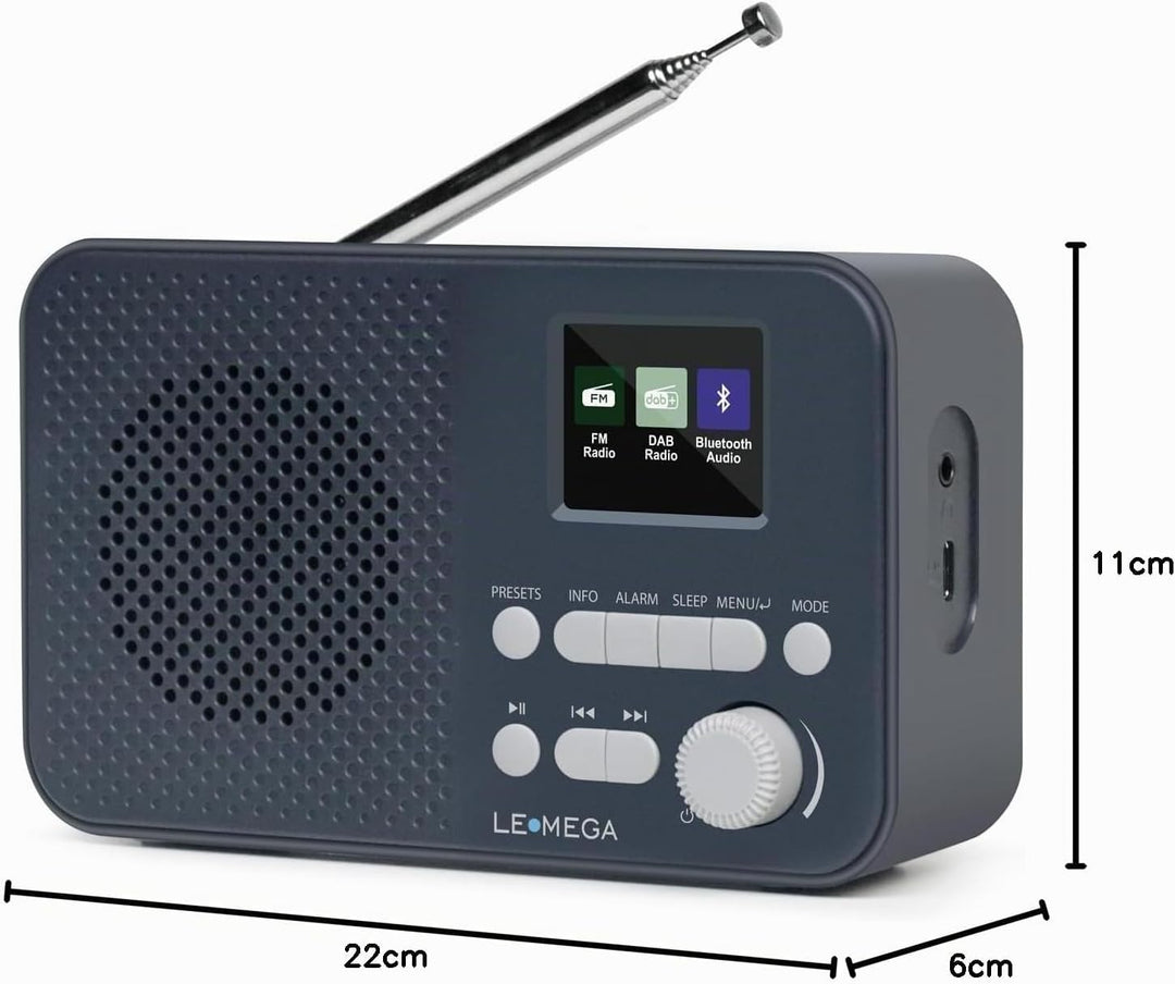 LEMEGA DAB Go DAB+/UKW Radio,Bluetooth,Farbdisplay,AA-Batterie,Dunkelgrau | Digitalradio,Doppelalarm