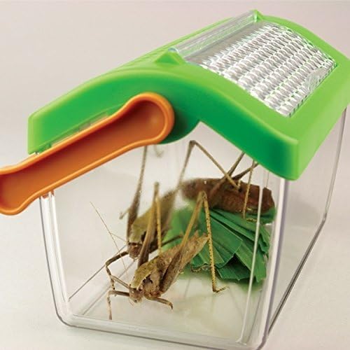 Kescher mit Teleskoparm und Insektenbox mit extra Lupenheft