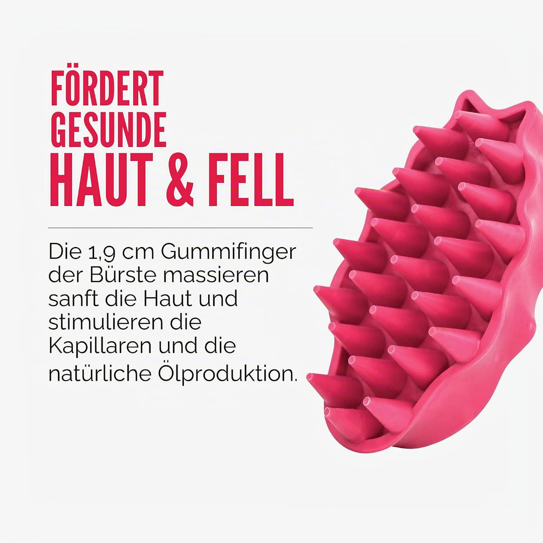 KONG – ZoomGroom – Bürste zur Hundepflege und zum Shampoonieren – Für Grosse Hunde (Rot) Rot Standar