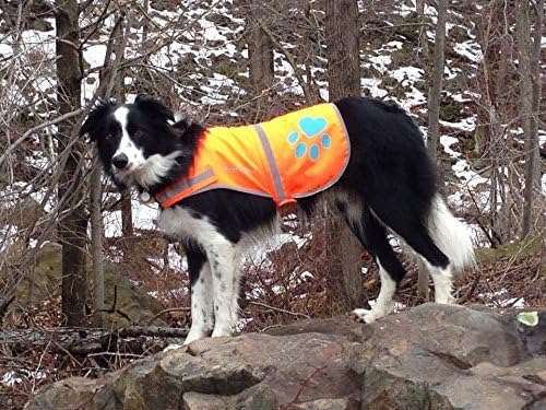 SafetyPUP XD Hund Warnweste, Grössen passen Hunde 14 lbs bis 130 lbs Orange Mittel, Orange Mittel