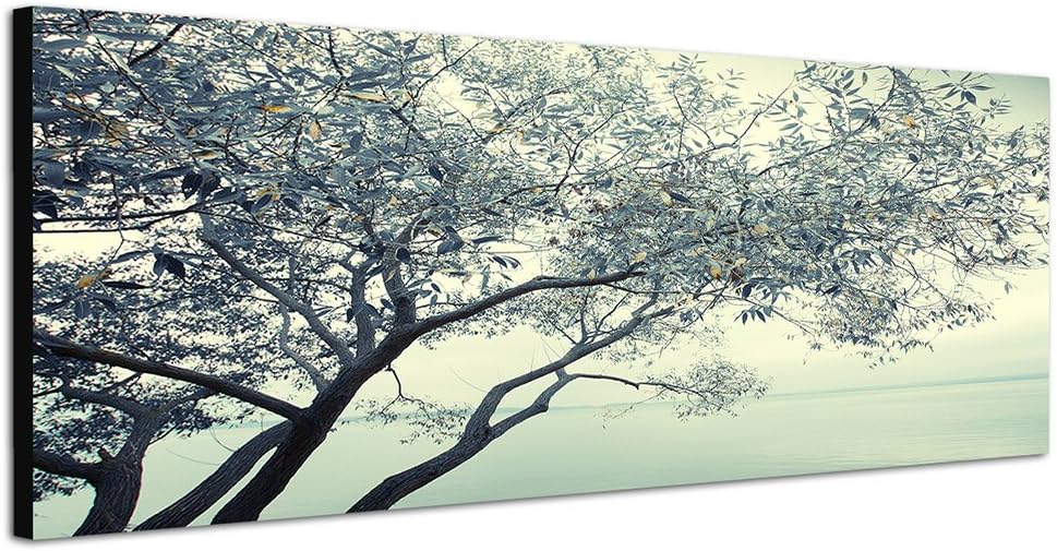 Paul Sinus Art Panoramabild auf Leinwand und Keilrahmen 150x50cm Fluss Baum Nebel Nacht Sterne